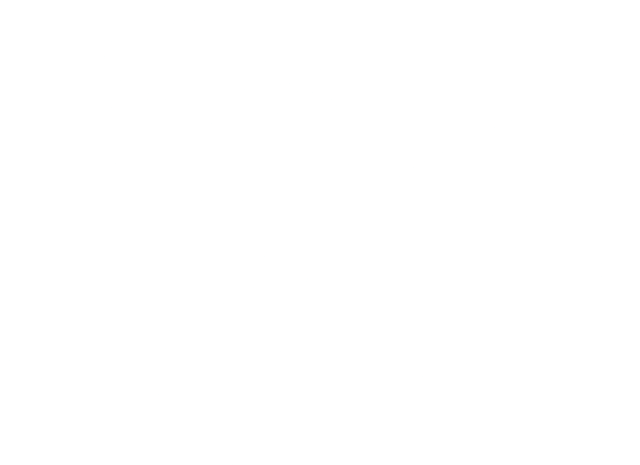 The Pits White Logo